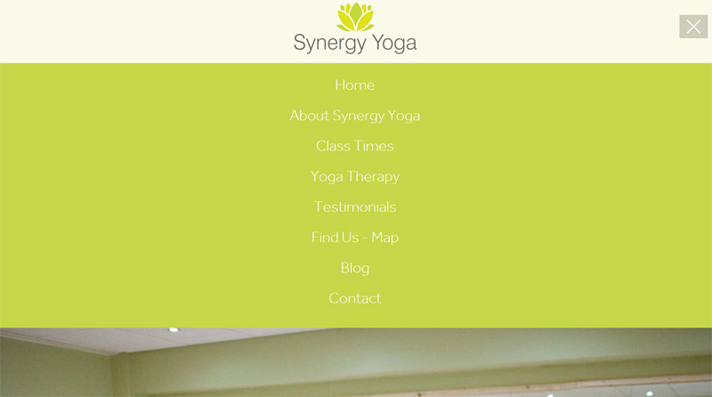 Yoga sinergia